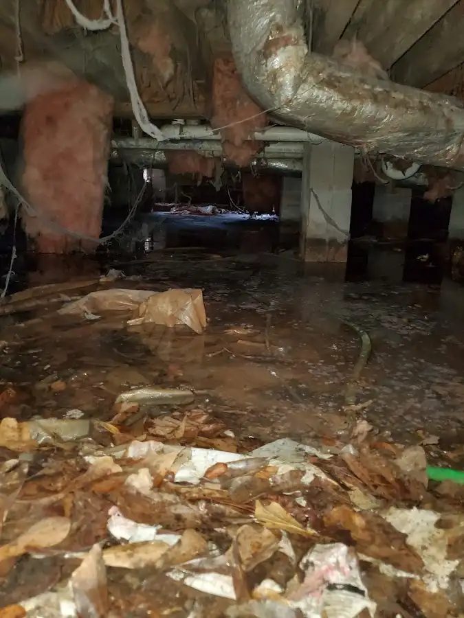 Crawl space flood assessment for Leak Detection & Repair in Kihei