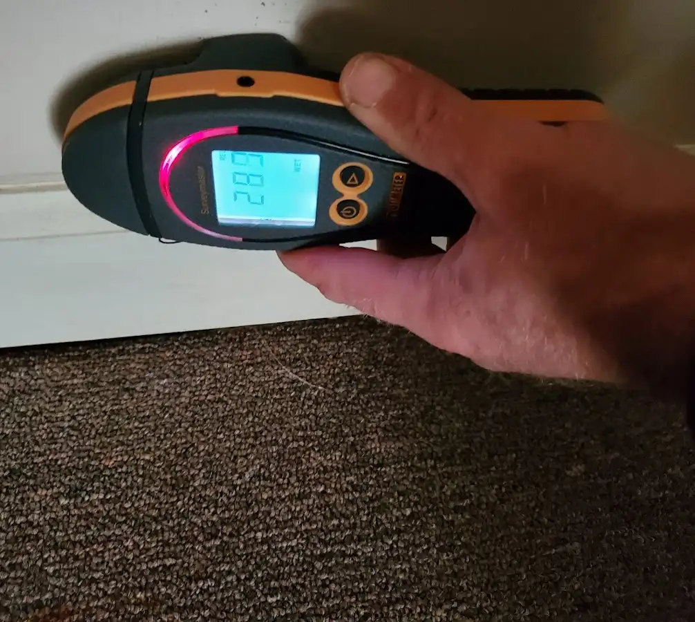 Moisture detection at baseboard during Mold Inspection & Testing in Kihei